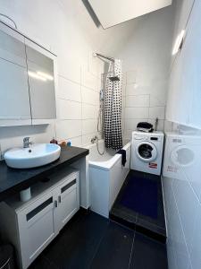 a bathroom with a sink and a washing machine at Alte Backstube - Kaiserslautern in Kaiserslautern