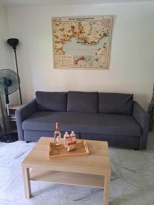 een woonkamer met een bank en een salontafel bij Appartement calme, cosy Piscine in Mandelieu-la-Napoule