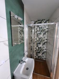 uma casa de banho com um chuveiro, um lavatório e um chuveiro em Domek Bieszczadzki Staw - Noclegi Czarna em Czarna