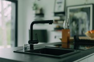 a kitchen sink with a faucet on a counter at Tara Cabins Pure Nature in Zaovine +58 photos