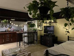 uma cozinha com vasos de plantas nas paredes e um quarto com uma cama em South Zamalek Studio no Cairo