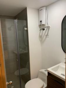 La salle de bains est pourvue d'une douche, de toilettes et d'un lavabo. dans l'établissement Alojamiento tipo LOFT completo en barrio Las Aguas, à Bogotá