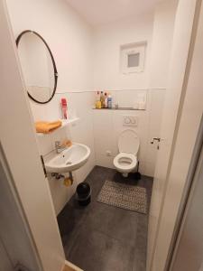a small bathroom with a toilet and a sink at APARTMENTS / WOHNUNG IN HAIBACH in Haibach