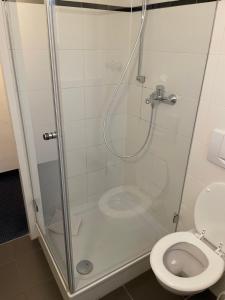 La salle de bains est pourvue d'une douche et de toilettes. dans l'établissement Hotel Garni Merkenich, à Cologne