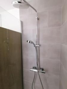 La salle de bains est pourvue d'une douche et d'une porte en verre. dans l'établissement LA BERGERIE ANGERS CENTRE VILLE, à Angers