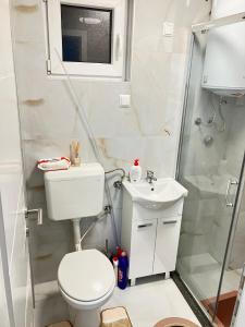 a bathroom with a toilet and a shower and a sink at Studio Apartman Natalia in Vlasic