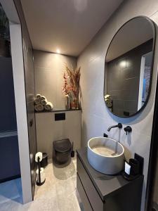 een badkamer met een wastafel en een spiegel bij Bed & Breakfast ByBreg in Apeldoorn