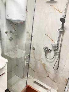 a shower with a glass door in a bathroom at Studio Apartman Natalia in Vlasic