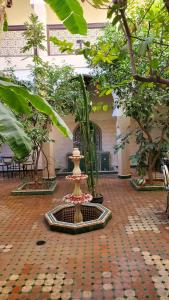 a fountain in the middle of a courtyard with trees at Riad Tidar by Phoenix in Marrakesh