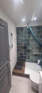 a bathroom with a shower and a toilet and a sink at Bel appartement avec balcon in Les Angles