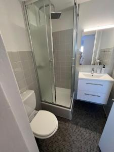 een badkamer met een toilet, een douche en een wastafel bij Studio au centre des 4 vallées in Nendaz