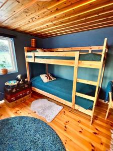 una camera con due letti a castello e una parete blu di Mysigt rum med privatbadrum a Västra Fors