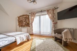 ザコパネにあるLux-Apart Zakopaneのベッドルーム(ベッド1台、ソファ、テレビ付)