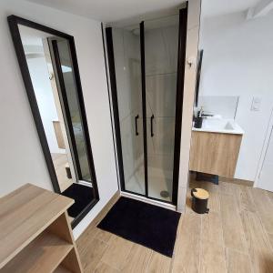 een badkamer met een glazen douche en een wastafel bij Résidence Tamaris Loft House in La Mézière