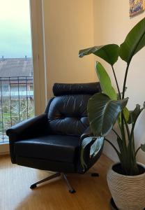 a black leather couch sitting next to a plant at Limmatspitz in Gebenstorf
