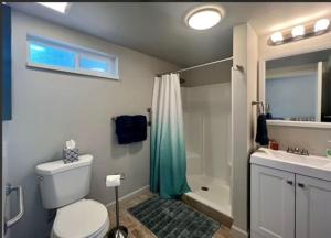 a bathroom with a toilet and a shower and a sink at Deluxe Cabin 5 - Rogue River Resort in Grants Pass