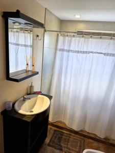 baño con lavabo y cortina de ducha blanca en Alto Rolando Apartamentos en San Carlos de Bariloche