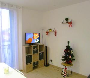 a living room with a christmas tree and a television at Appartement T2 neuf Bages centre in Bages
