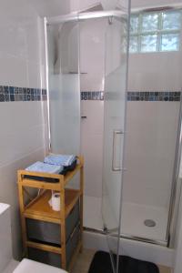 a shower with a glass door in a bathroom at Appartement T2 neuf Bages centre in Bages