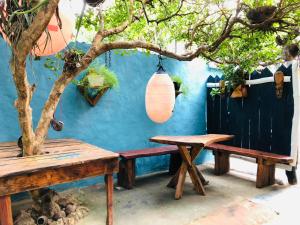 蓬塔盧西亞的住宿－Rustic House 2，一张桌子和长凳,旁边是一棵蓝墙,有树