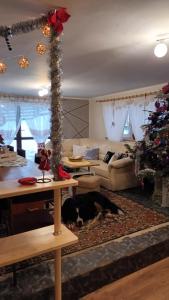 a living room with a dog laying on the floor at Gospodarstwo Agroturystyczne u Ani in Krośnica