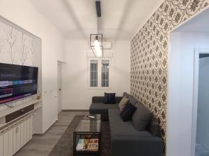 PRINCIPE PIO-PLAZA DE ESPAÑA في مدريد: غرفة معيشة مع أريكة وتلفزيون