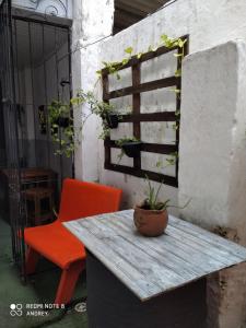 a table with a potted plant on it next to a chair at Flora Pousada in Recife