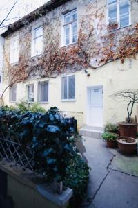 a house with a bunch of plants in front of it at Luxury Apartment in Praterstern area in Vienna