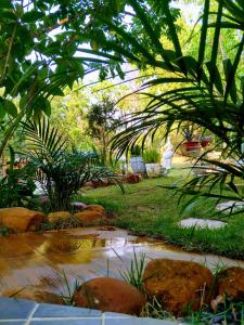 un jardin avec un étang planté de plantes et d'arbres dans l'établissement Pousada Recanto Guatambu - Sobrado, à Chapada dos Guimarães