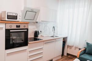 eine kleine Küche mit einer Spüle und einer Mikrowelle in der Unterkunft Apartmány Železničářská in Ústí nad Labem