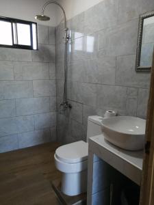 a bathroom with a white toilet and a sink at Mirada al Cerro, Apartamento completo in Grecia