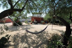 een hangmat hangend aan een boom in een tuin bij Pericu Bed and Garden in La Ventana