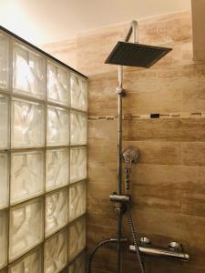 La salle de bains est pourvue d'une douche avec un pommeau de douche. dans l'établissement LE STUDIO MARINA FENETRE SUR MER, à Deauville