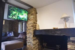 een woonkamer met een stenen open haard en een flatscreen-tv bij Gite Ardennes Au coin du feu jacuzzi sauna et nature in Jalhay
