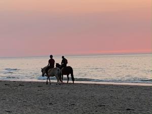 - 2 personnes à cheval sur la plage au coucher du soleil dans l'établissement LE STUDIO MARINA FENETRE SUR MER, à Deauville