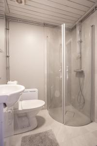 a bathroom with a shower and a toilet and a sink at Strandgården Fjällnäs in Tänndalen