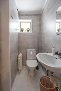 a bathroom with a toilet and a sink at Strandgården Fjällnäs in Tänndalen