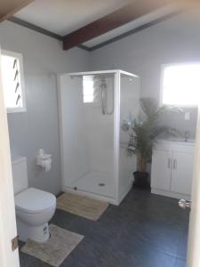 La salle de bains est pourvue de toilettes et d'une cabine de douche. dans l'établissement Te Moana Nui Villa 2, à Arorangi