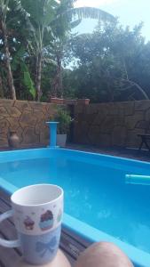 - une tasse de café au bord de la piscine dans l'établissement Recanto dos pássaros, à Bombinhas