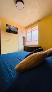eine Feder, die in einem Schlafzimmer auf einem Bett liegt in der Unterkunft Casa Joaquina in Ciudad Hidalgo