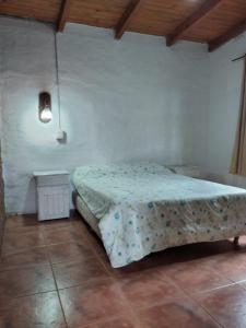 1 dormitorio con 1 cama en una habitación blanca en La Vuelta del Río en Panaholma