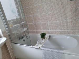 een badkamer met een bad met een plant erop bij Deluxe apartment Sleeps up to 6 in Leicester