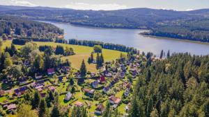 an aerial view of a small village next to a lake at LIPNO Moss Apartment in Lipno nad Vltavou