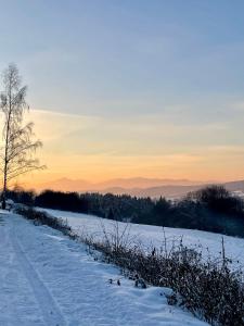 Aurora Green Hill - Forest v zimě