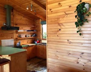 kuchnia z drewnianymi panelami i blatem w obiekcie The Cabin By the Sea - Cosy Waterfront Getaway w mieście Lunawanna
