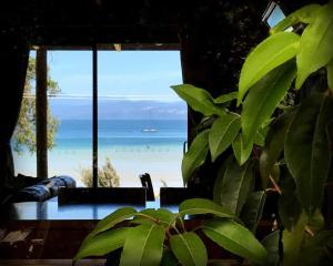 widok na plażę z domu z rośliną w obiekcie The Cabin By the Sea - Cosy Waterfront Getaway w mieście Lunawanna