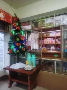 a christmas tree on a table in a restaurant at Pas-it Hostel Sagada in Sagada