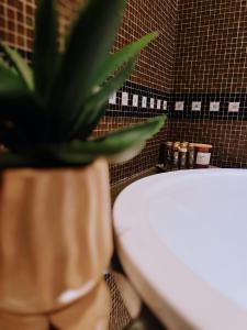 Imagine din galeria proprietății ANCA RESORT & SPA - Transilvania în Sălciua de Jos