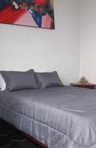 1 cama en un dormitorio con una foto en la pared en Hermoso apartamento Duplex, en Guaduas