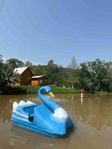 un cisne de plástico azul flotando en el agua en Sítio Recanto Nativo, en Palmitos
